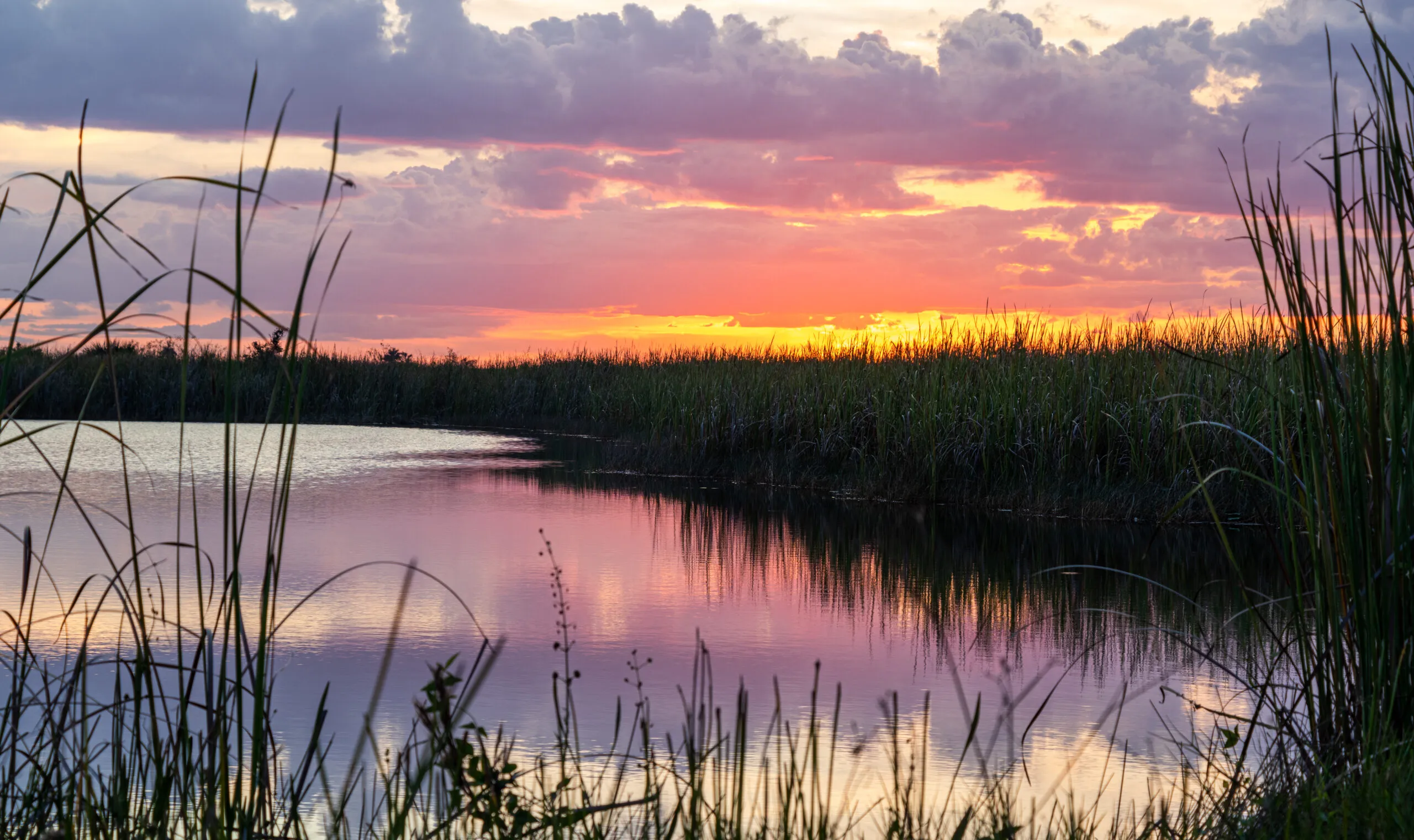 Orthodontist appointment in Pembroke Pines